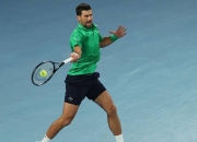 关于德约科维奇赛事官方发布逆转新规，美国队争议不断！的信息