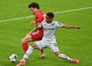 关于多伦多猛龙迎欧冠关键赛，今晨外线爆发，底气十足，球队文化再被提及的信息